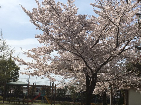 アナタも晴れ男になれる！そのコツを大公開します！