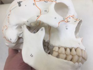 顎関節症が歯医者「だけ」では治らない理由。