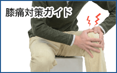 膝痛対策ガイド