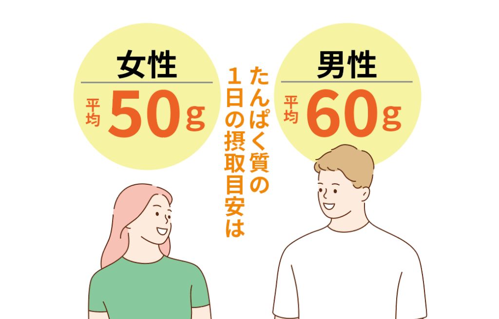 1日に必要なたんぱく質